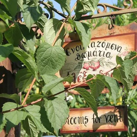 Alexandros Inn *